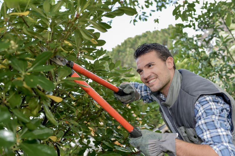 Shrub Trimming Service