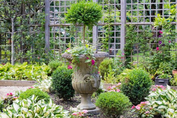 Topiary Pruning in Winter Park