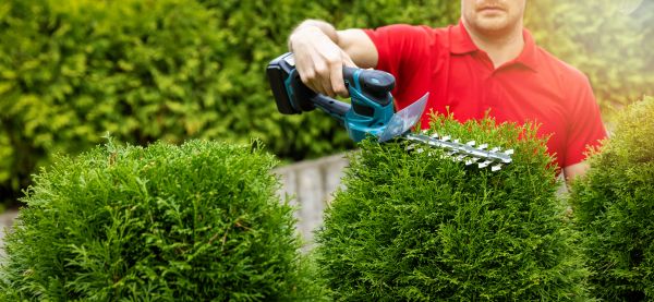 Hedge Shaping Service in Winter Park