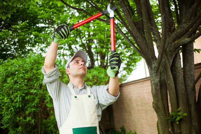 Seasonal Shrub Maintenance